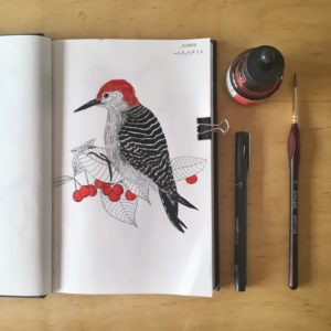 oiseaux