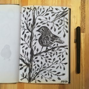 oiseaux